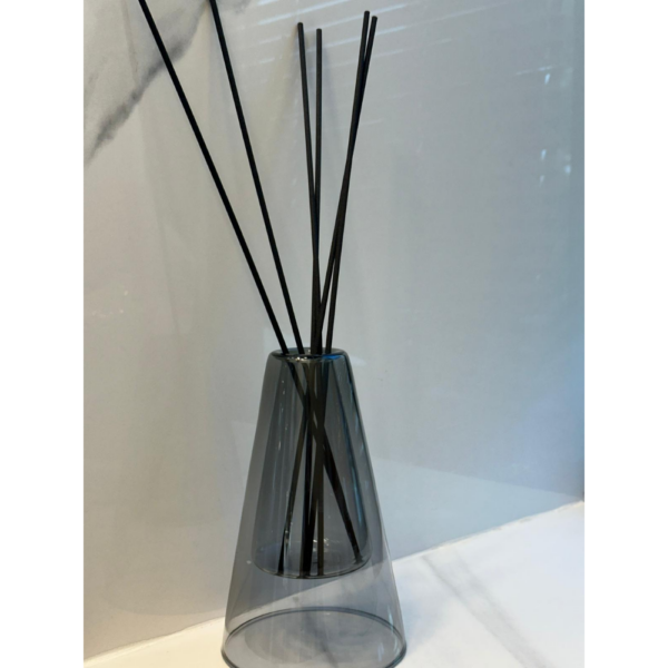 ⁦מפיץ פוקוס⁩ – תמונה ⁦2⁩